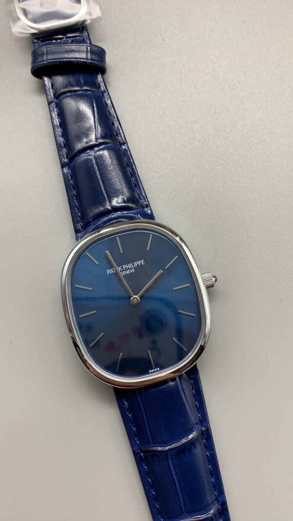 Patek Philippe Watch 5378