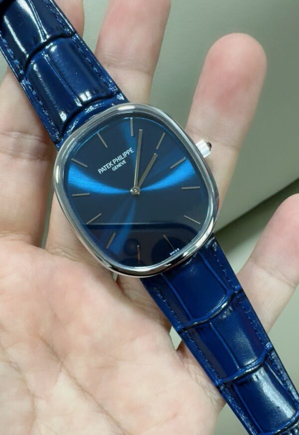 Patek Philippe Watch 5378