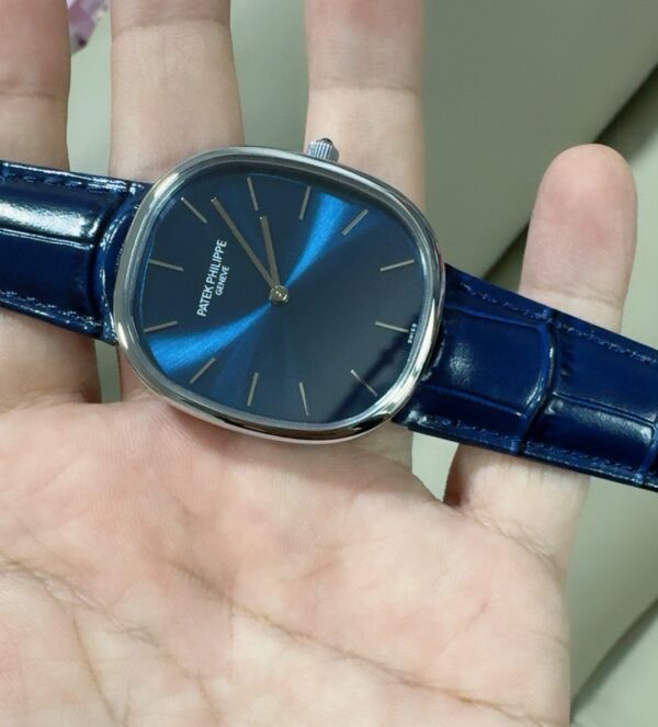 Patek Philippe Watch 5378
