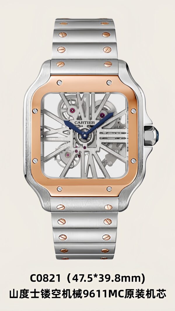 Cartier Santos (SANTOS)