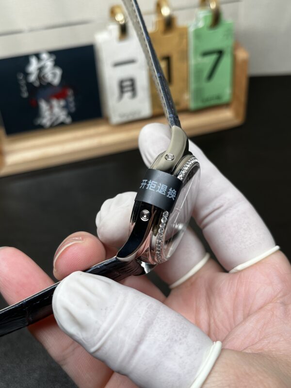 Patek Philippe Watch (COMPLICATIONS)