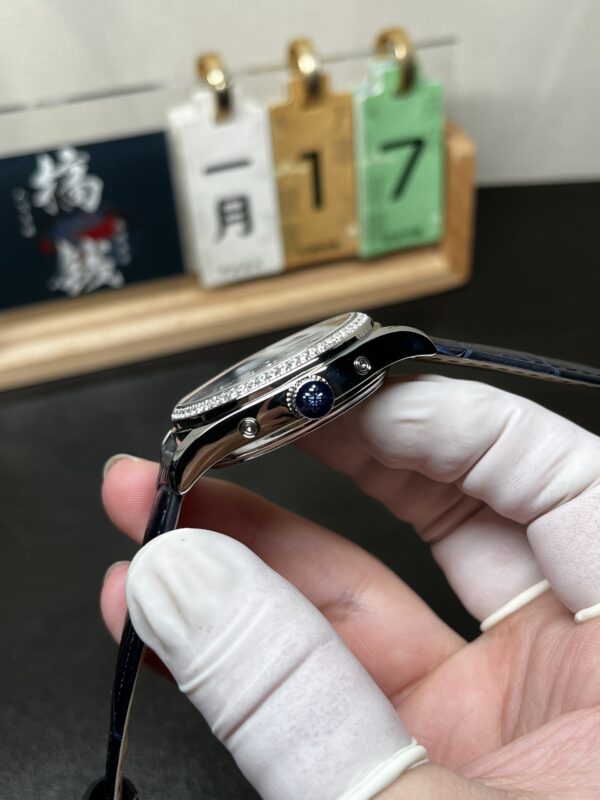Patek Philippe Watch (COMPLICATIONS)