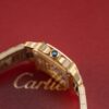 i1768886904214_7459_0_5-3.jpg Cartier Santos (SANTOS) Blue