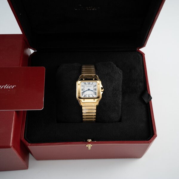 i1768886904223_3662_0_0-3.jpg Cartier Santos (SANTOS) Blue