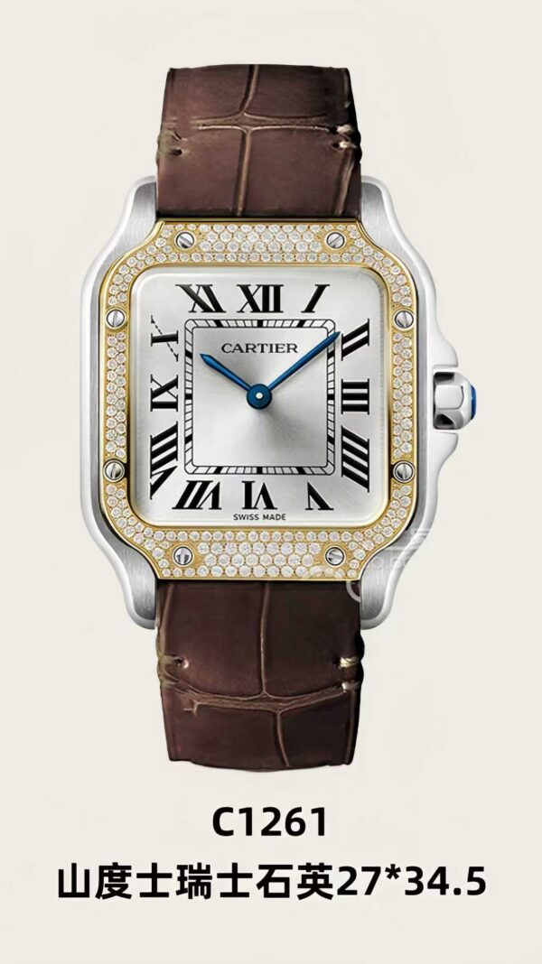 Cartier Santos (SANTOS)