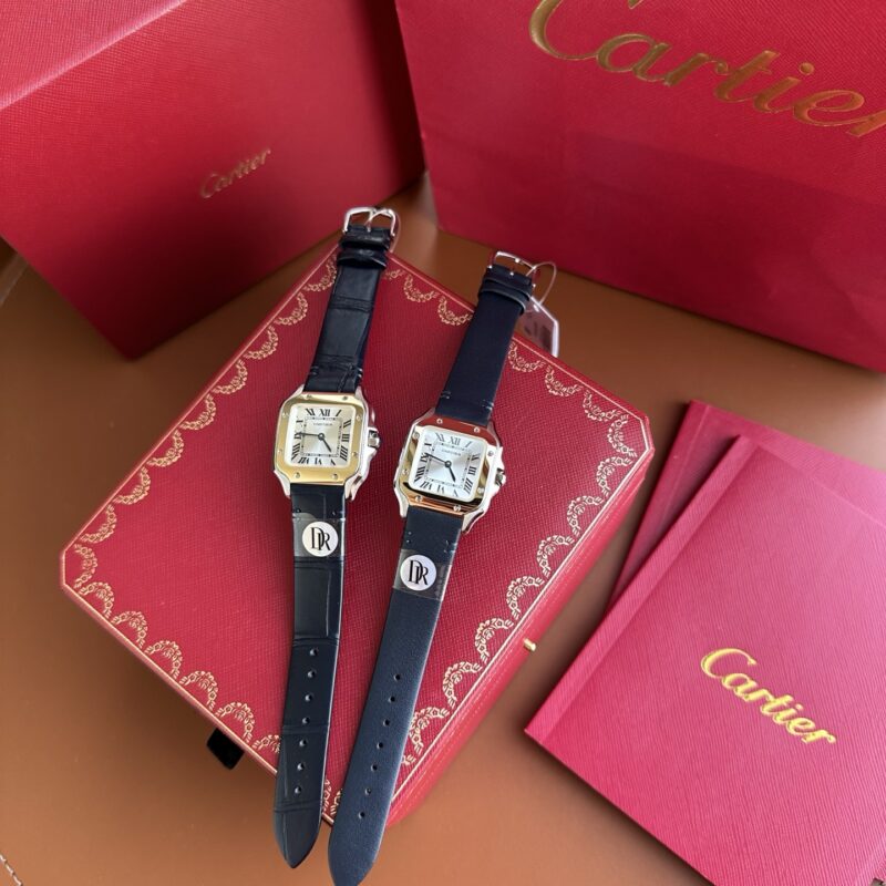 Cartier Santos (SANTOS) Gray