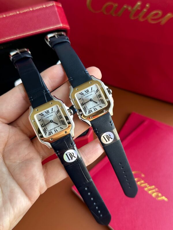 Cartier Santos (SANTOS) Gray