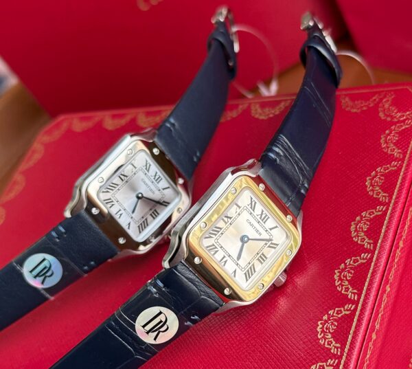 Cartier Santos (SANTOS) Gray