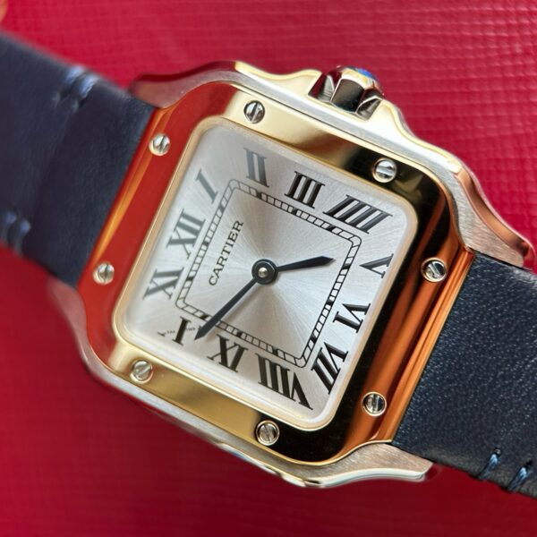 Cartier Santos (SANTOS) Gray