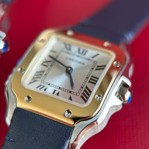 Cartier Santos (SANTOS) Gray