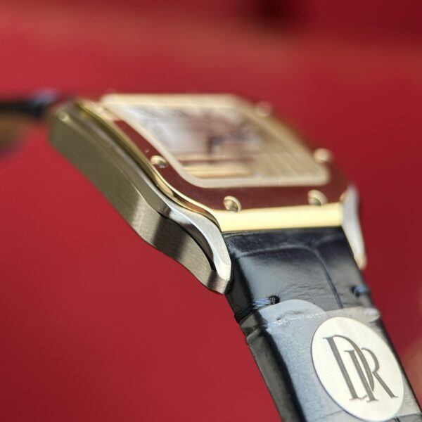 Cartier Santos (SANTOS) Gray