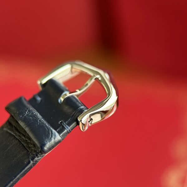Cartier Santos (SANTOS) Gray