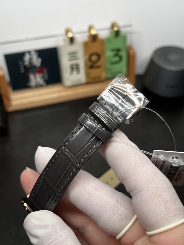 Cartier Santos (SANTOS)