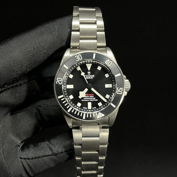 Tudor Watch Reference Pending